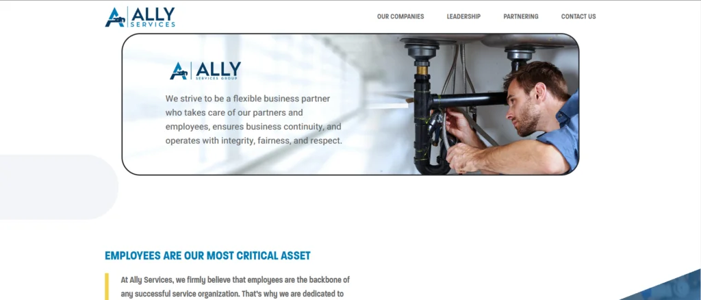 Ally Services Group — Corporativo · Servicios profesionales